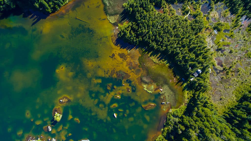 Quetrus lagoon in Tagua Tagua Park, Chile