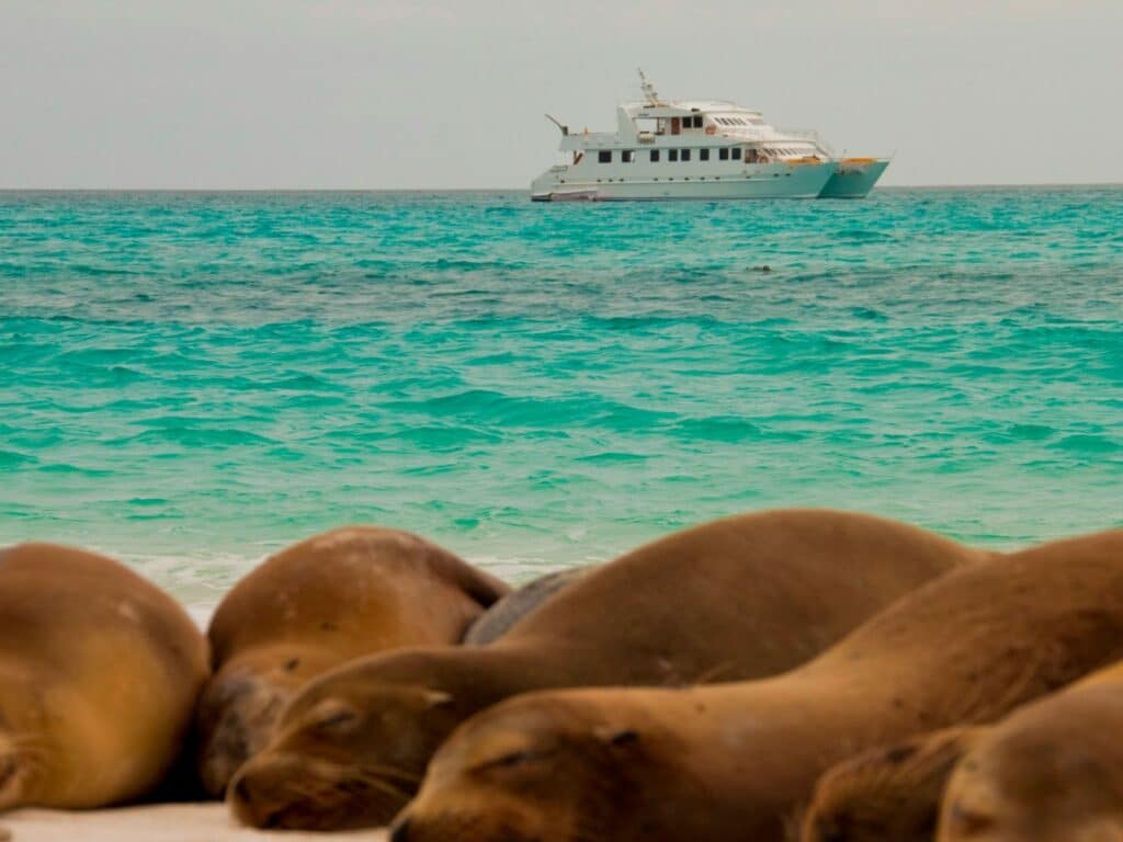 Galapagos Seaman Journey Boat with Sealions, Galapagos Islands