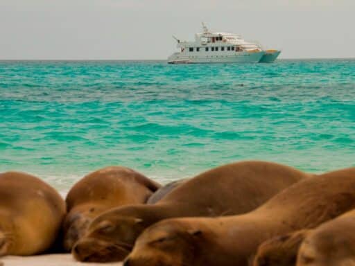 Galapagos Seaman Journey Boat with Sealions, Galapagos Islands