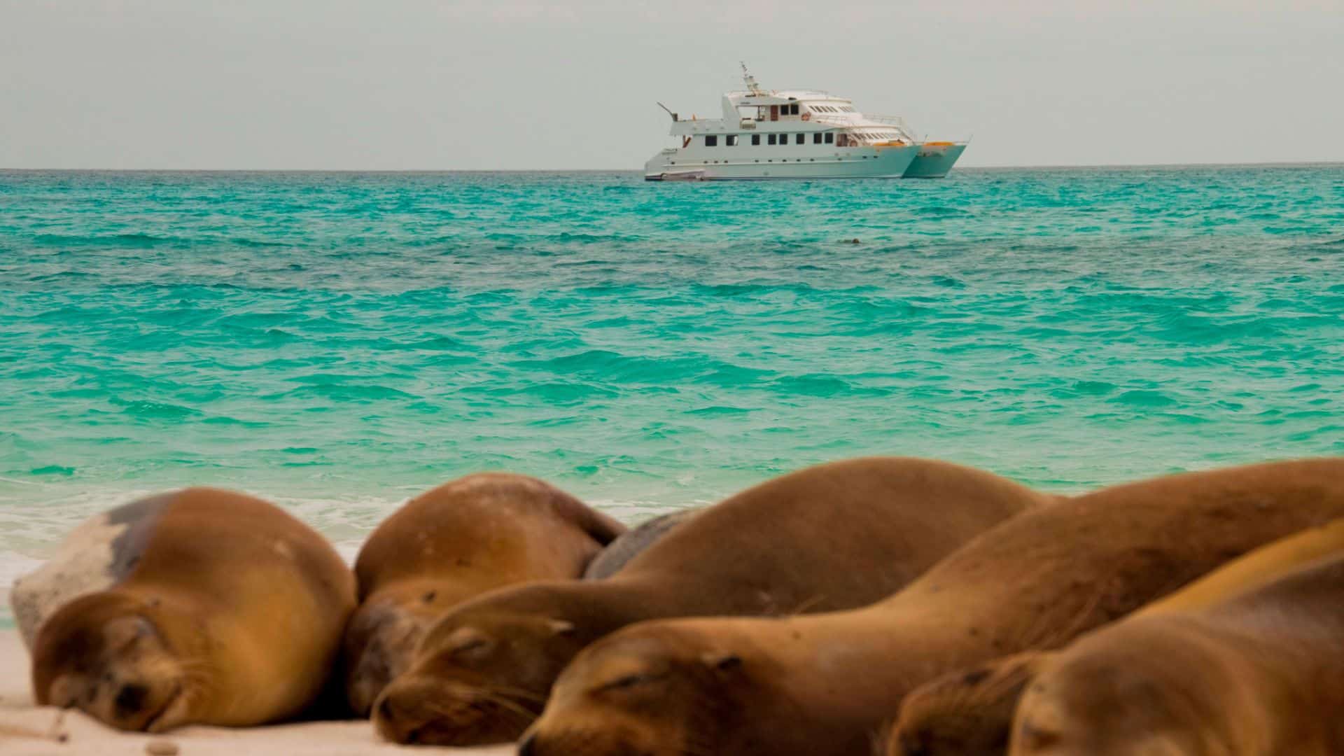 Galapagos Seaman Journey, Galapagos Islands