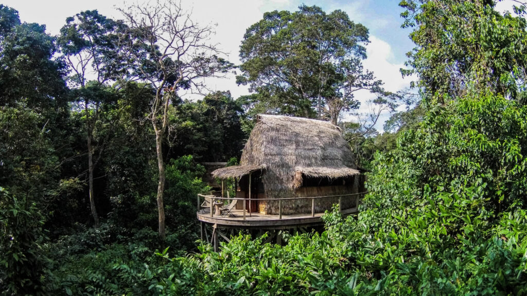 Ngaga Camp, Ensuite Room, Republic of Congo