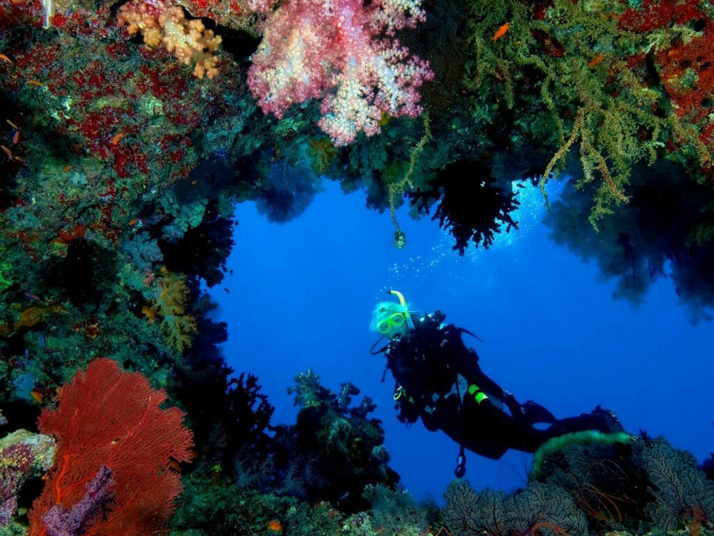 Alphonse, Seychelles