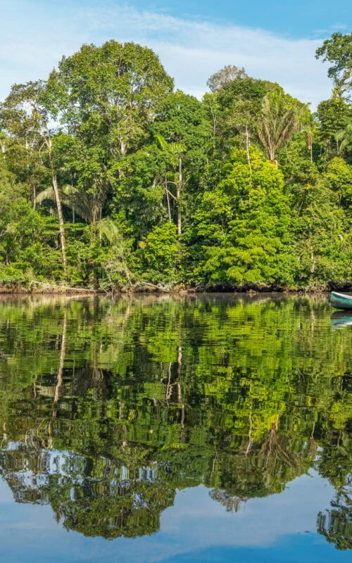 Canoe, Rainforest, Guyana