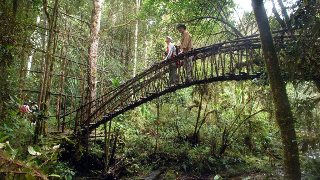 Ambua Lodge - Tari, Papua New Guinea | Steppes Travel