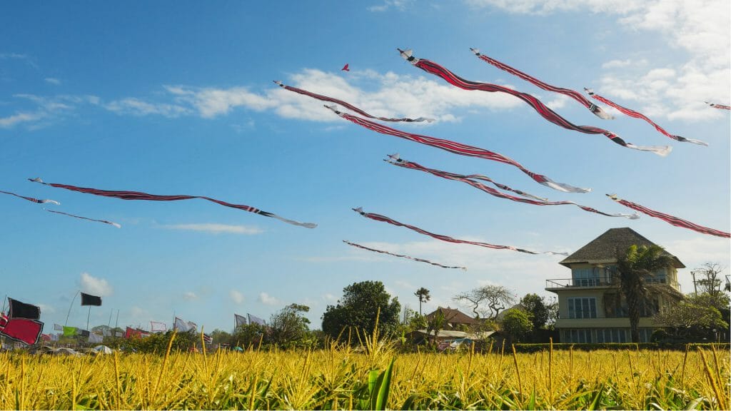 Balinese kites fluttering over a field of grass.