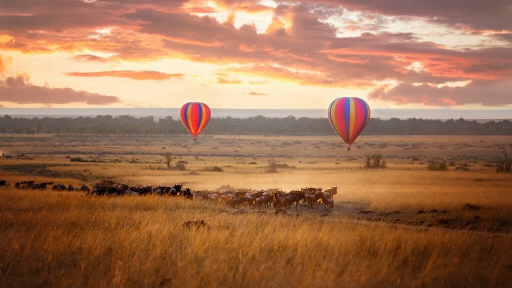 Balloon flight over the plains, Masai Mara, Kenya