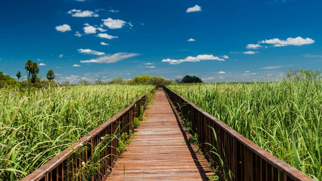 Boardwalk over wetlands in Nature Reserve Esteros del Ibera, Argentina