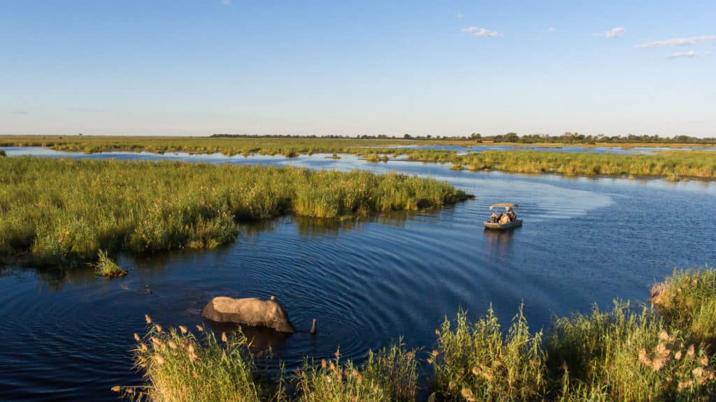 Linyanti Reserve, Botswana