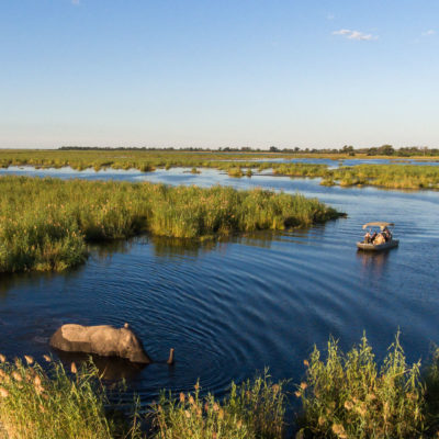 DumaTau, Linyanti Reserve, Botswana