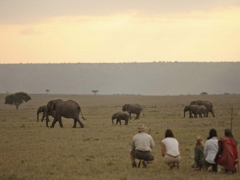 Bush walk, Elephant Pepper Camp, Masai Mara