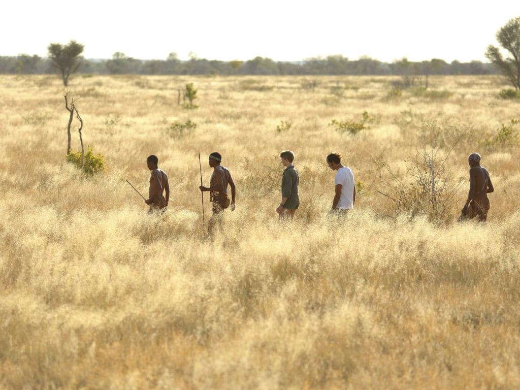 Bushmen walk, Feline Fields, Kalahari Desert