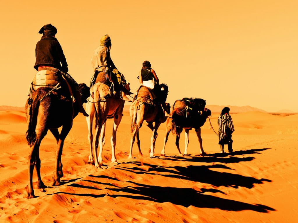 Camel Caravan, Sahara Desert, Morocco