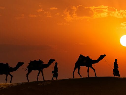 Camel Safari, Jaisalmer, India
