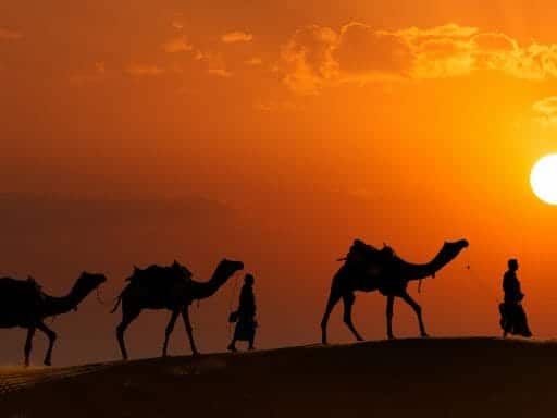 Camel Safari, Jaisalmer, India
