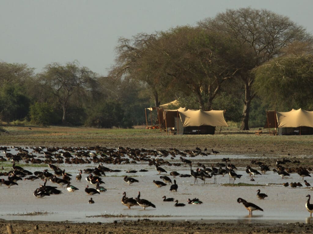Camp Nomade, Zakouma National Park, Chad