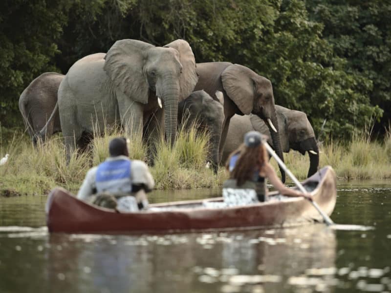 Chongwe River Camp, Lower Zambezi, Zambia