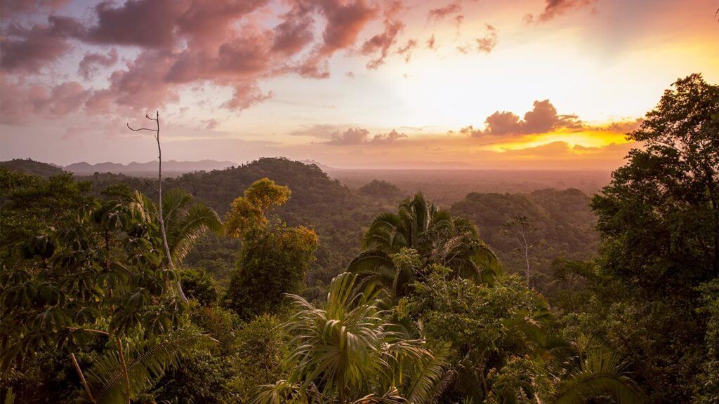 Canopy View, Copal Tree Lodge, Punta Gorda, Belize