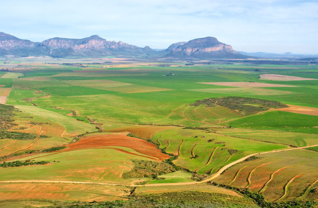 Cederberg, Western Cape, South Africa