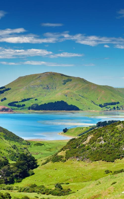 Coastal View, Otago Peninsula, New Zealand