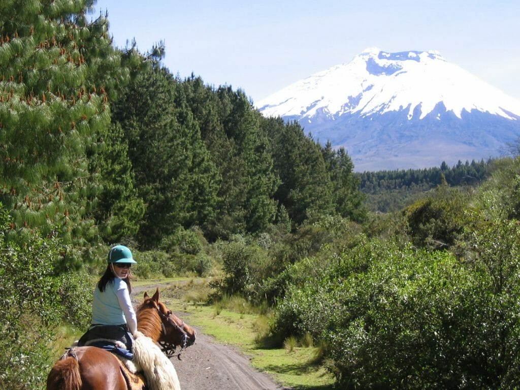 Horse Riding, Cotopaxi Volcano, Avenue of the Volcanoes, Ecuador