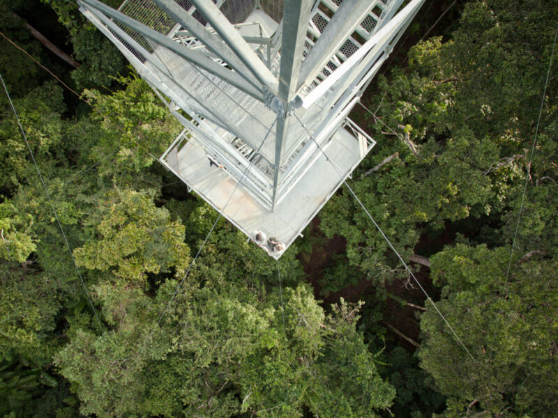 Cristalino Lodge, Canopy Observation Tower, Brazil