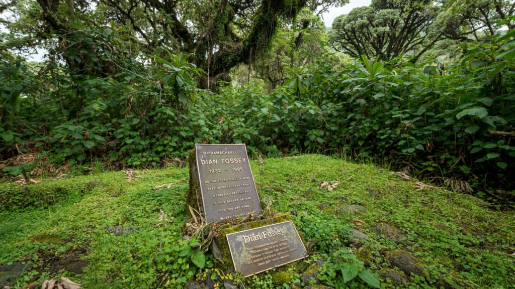Diane Fosseys Grave, Volcanoes National Park, Rwanda