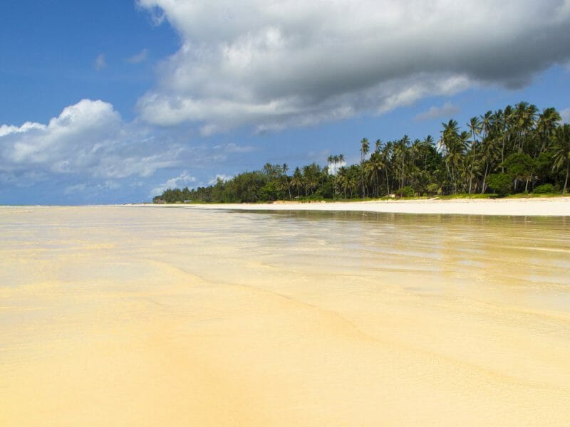 Diani Beach, Kenyan Coast, Kenya