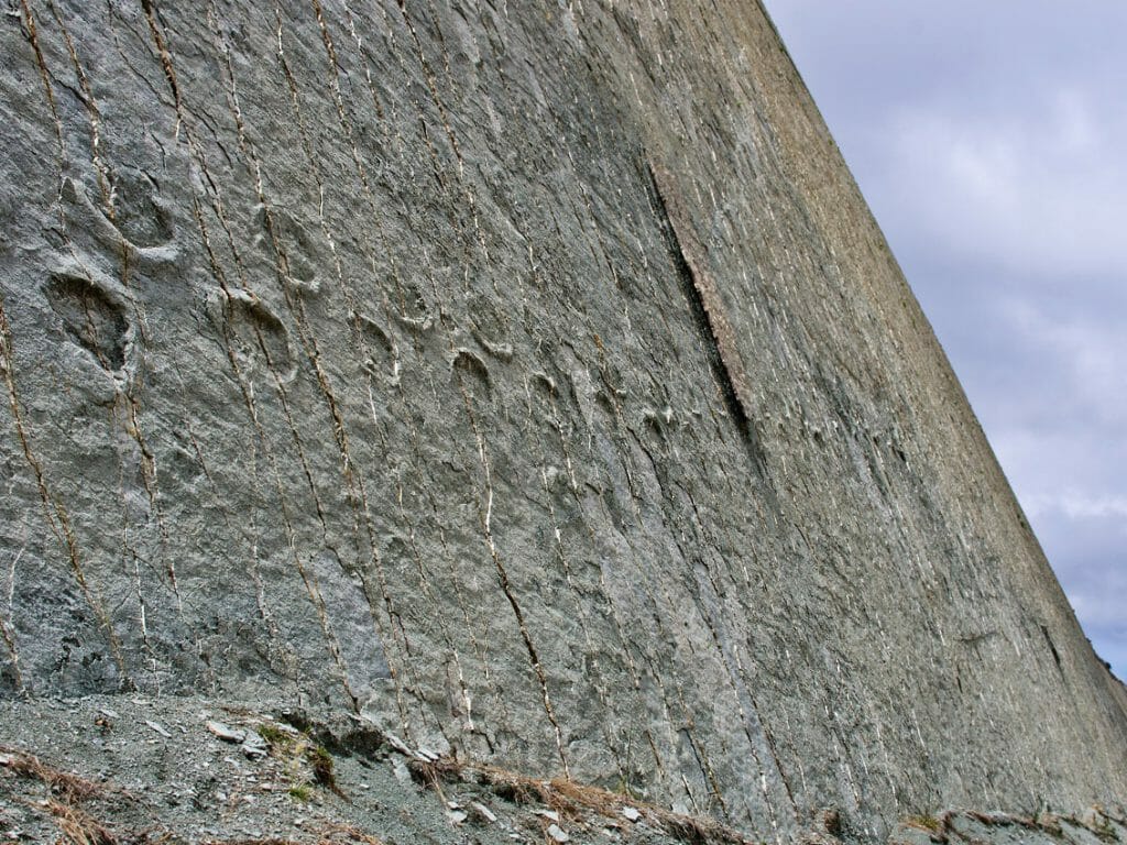 Dinosaur Tracks on the Wall of Cal Orko, Sucre, Bolivia