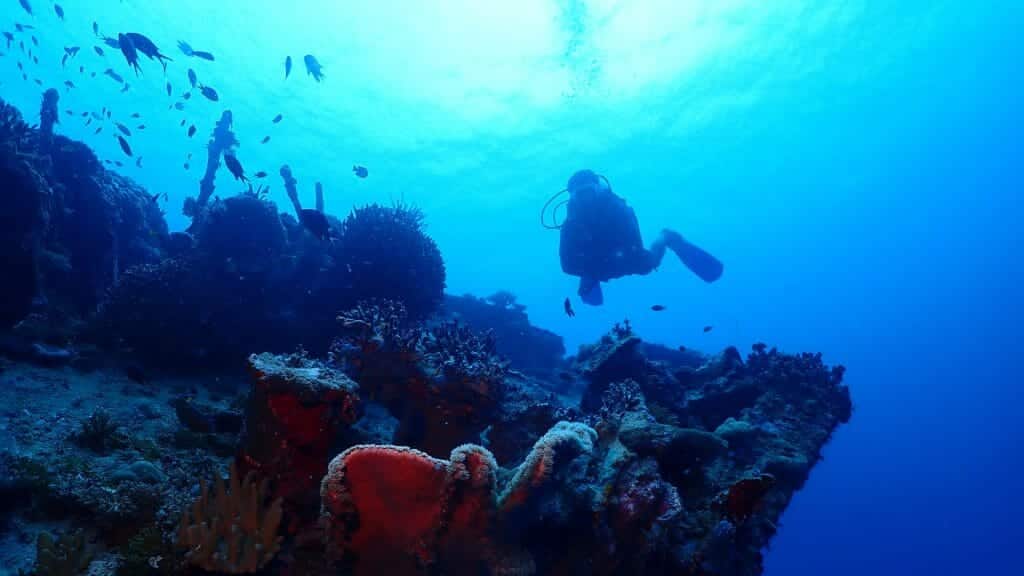 Underwater shot, bright blue water with diver swimming above wreck.