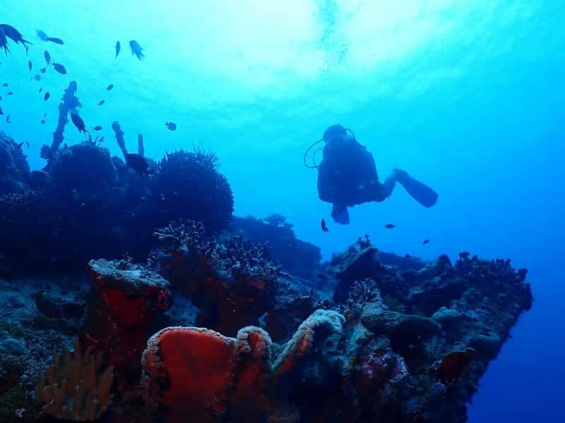 Underwater shot, bright blue water with diver swimming above wreck.