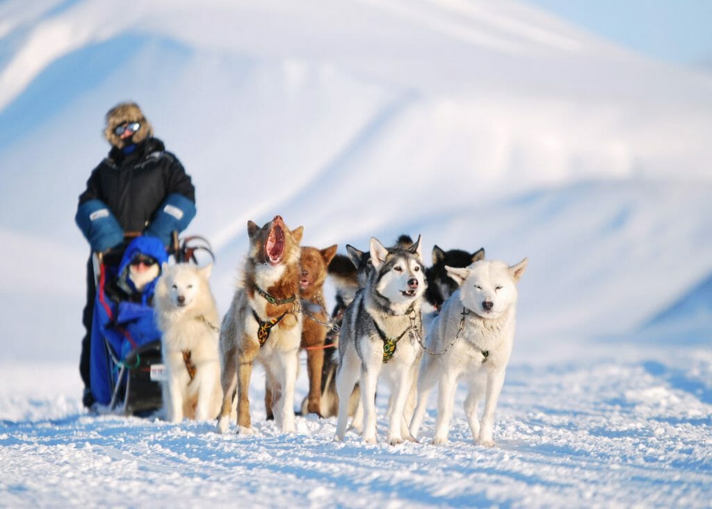 Dog Sledding, Basecamp Explorer, Spitsbergen
