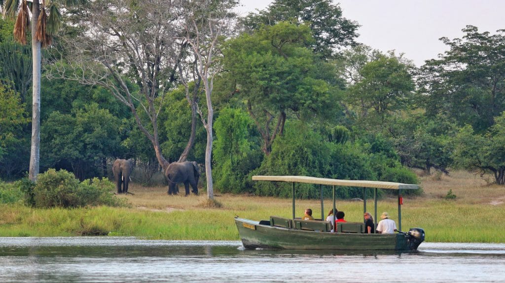 Elephants on the banks of Shire River, Liwonde National Park, Malawi