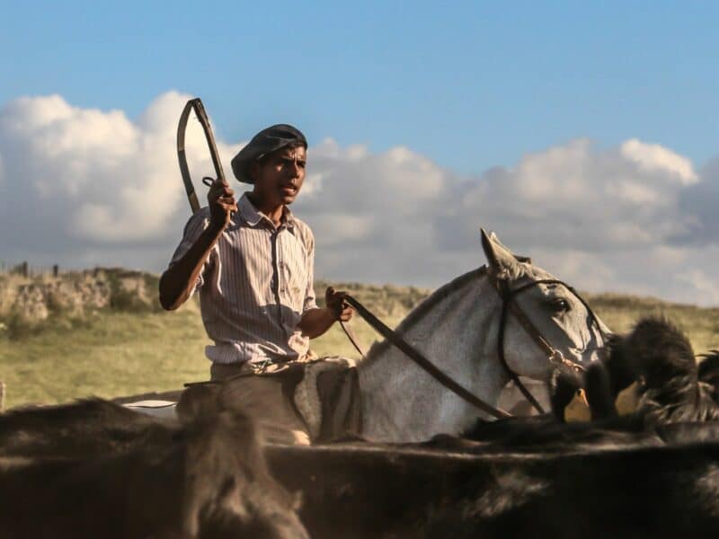 Gaucho, Estancia los Potreros, Cordoba, Argentina