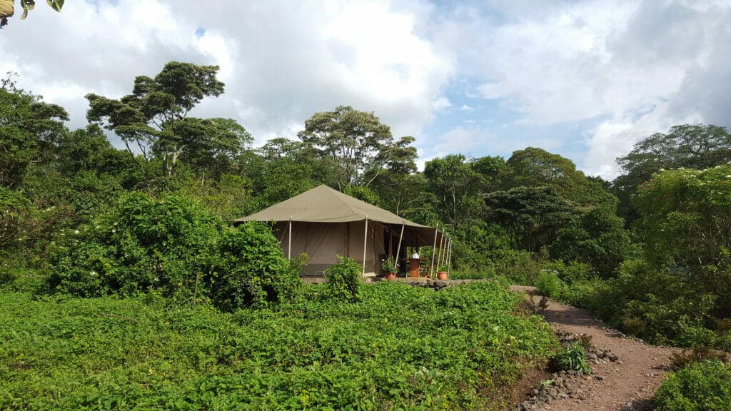 Bukima Camp, Virunga National Park, Democratic Republic of Congo