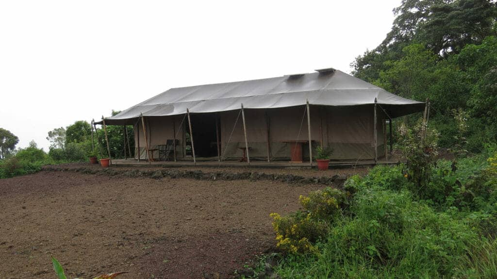 Bukima Camp, Virunga National Park, Democratic Republic of Congo