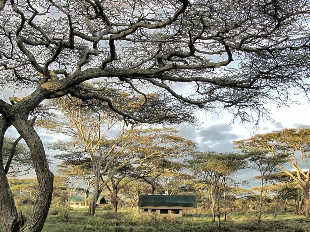 Exterior of Tent, Serian Serengeti, Serengeti National Park, Tanzania
