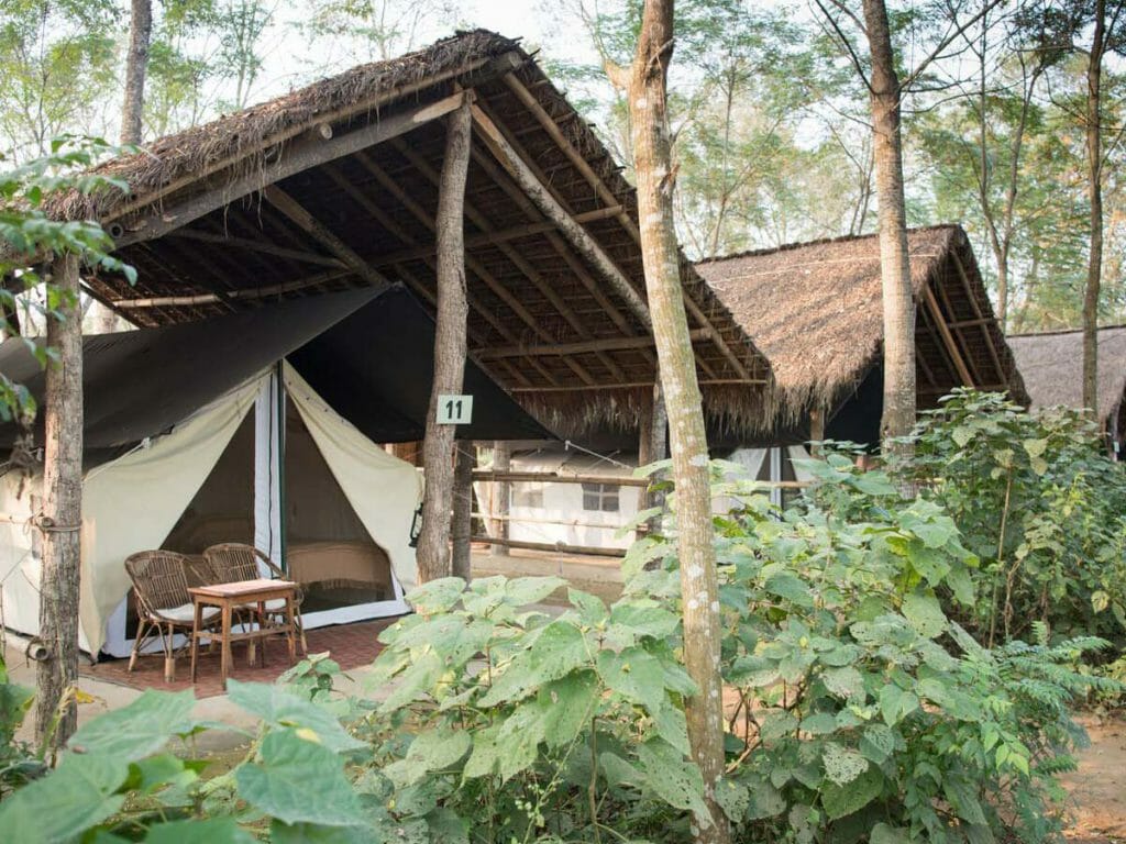 Tiger Tops Elephant Camp, Chitwan, Nepal