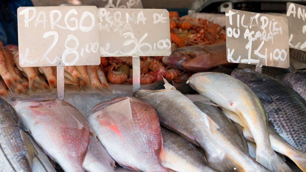 Fish Market, Brazil