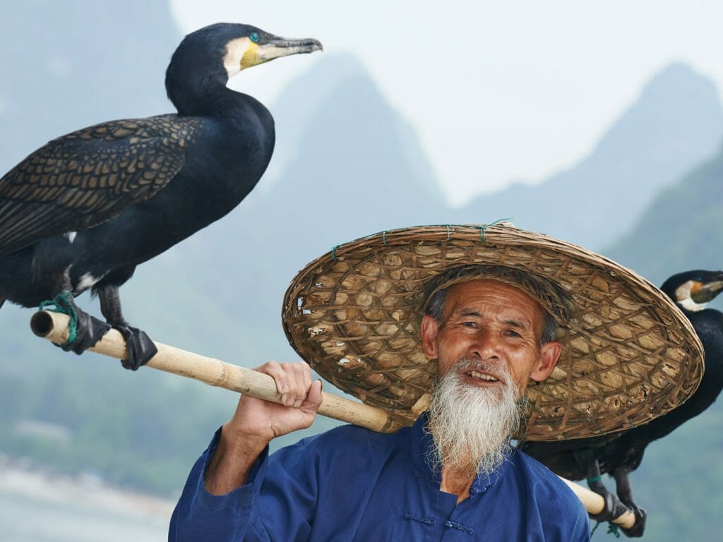 Fisherman with Cormorant, Yangshuo, China