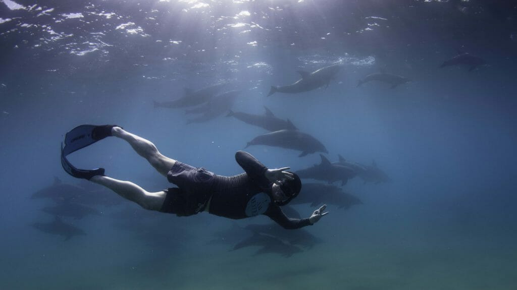 Freediver giving okay sign with dolphins behind, Ponta Malongane, Mozambique