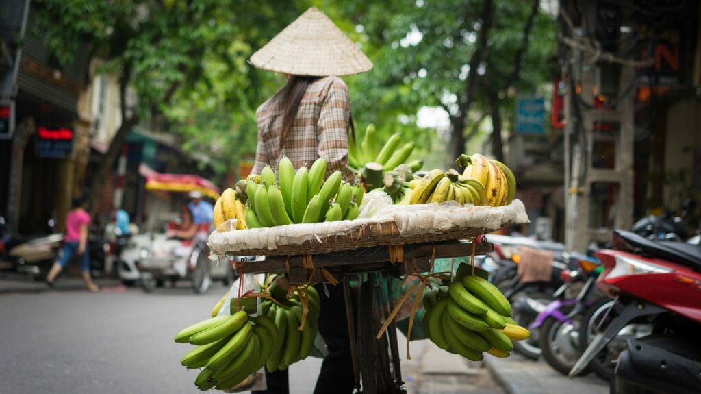 Fruit seller, Hanoi, Vietnam