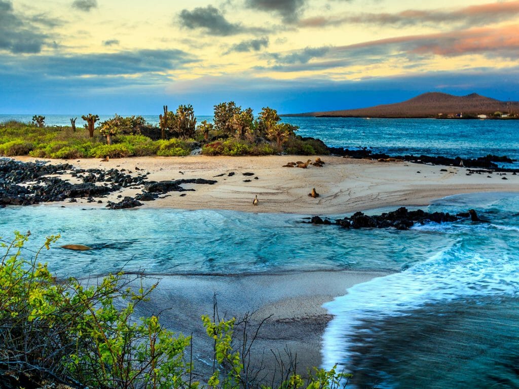 Galapagos Islands