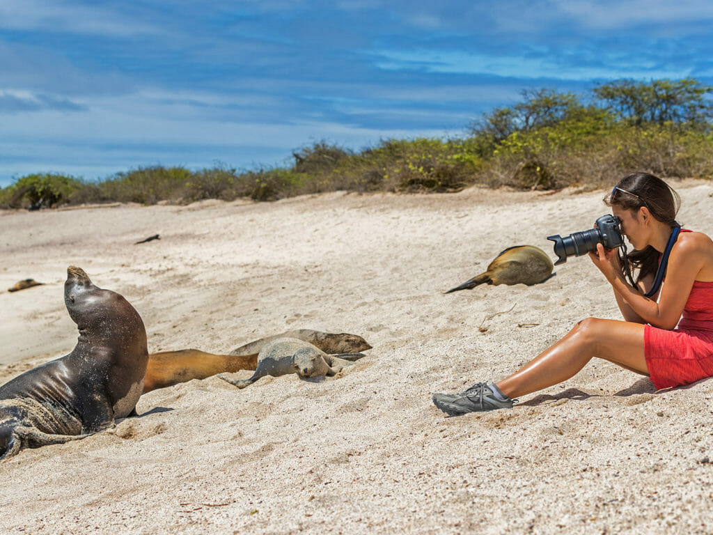 Photographing Sea Lions, Galapagos Islands