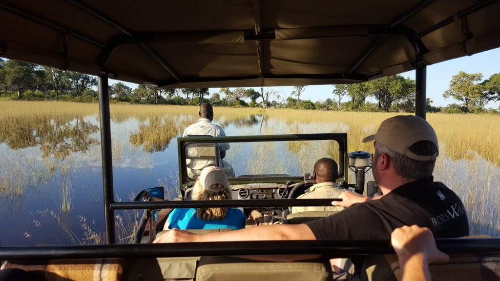 Game drive over floodplains, Okavango Delta, Botswana