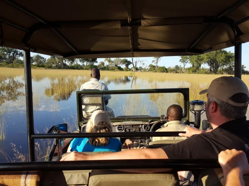 Game drive over floodplains, Okavango Delta, Botswana
