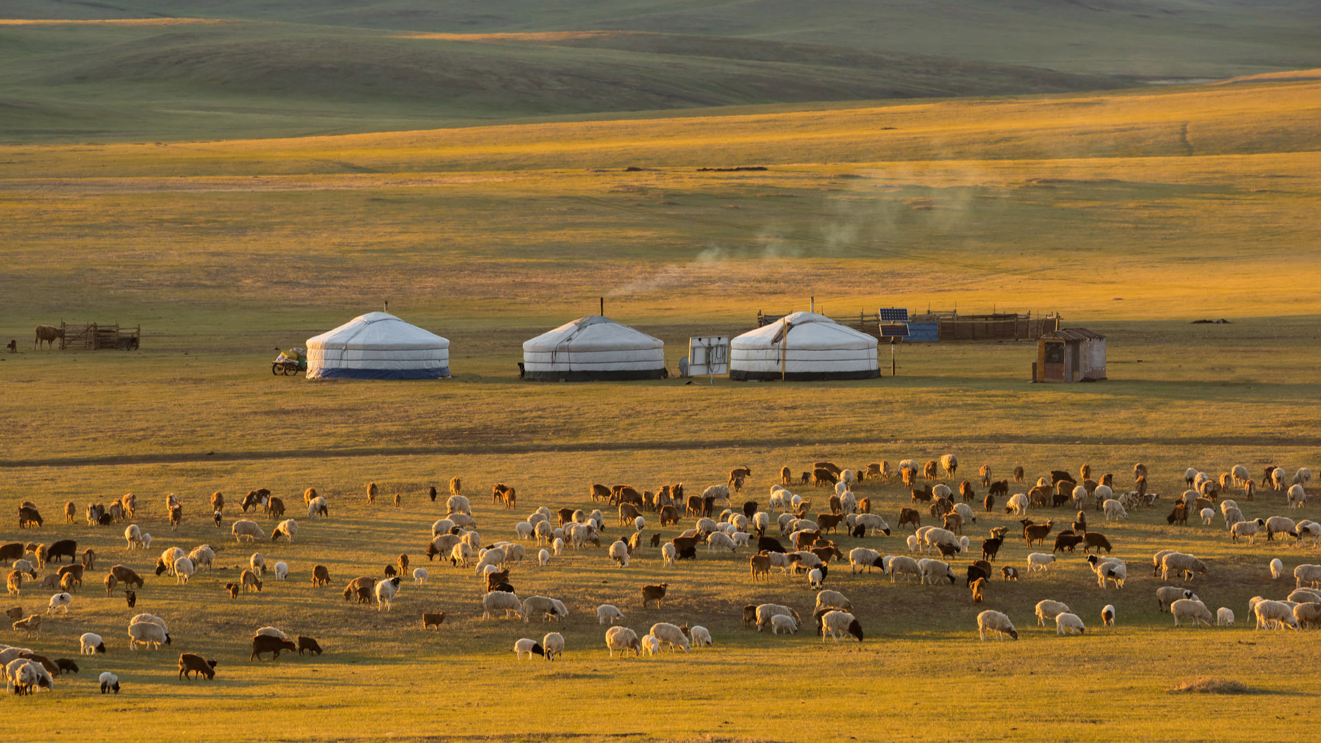The Magic Of Mongolia Steppes Travel