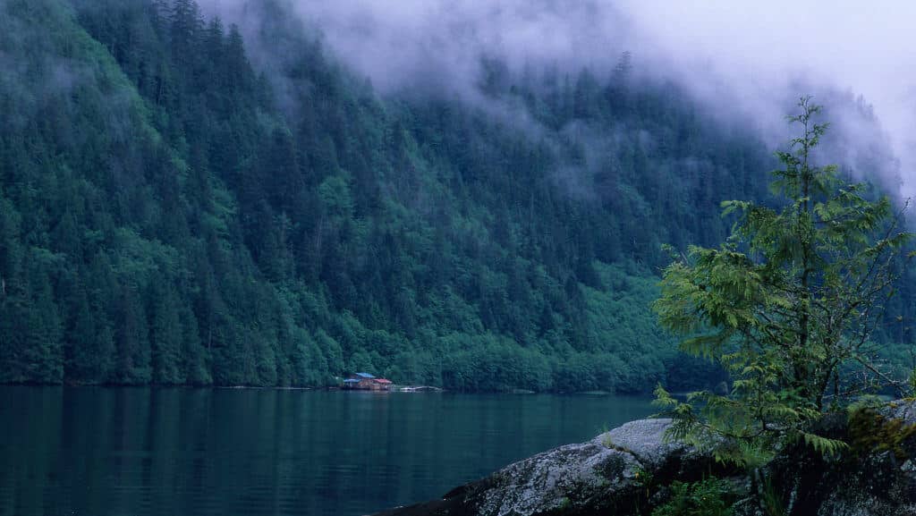 Great Bear Lodge Great Bear Rainforest, Canada