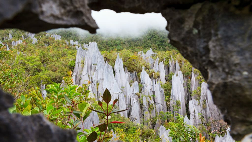 Limestone pinnacle formations at Gunung Mulu National Park