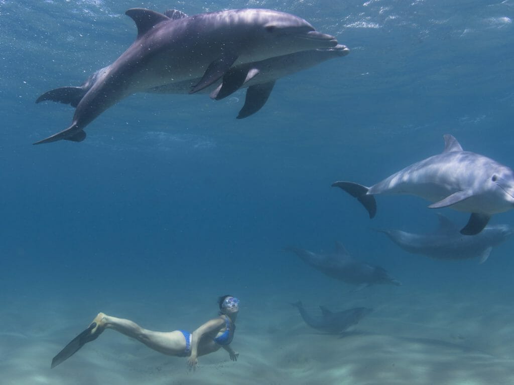 Hanli beneath dolphins, Ponta Malongane, Mozambique