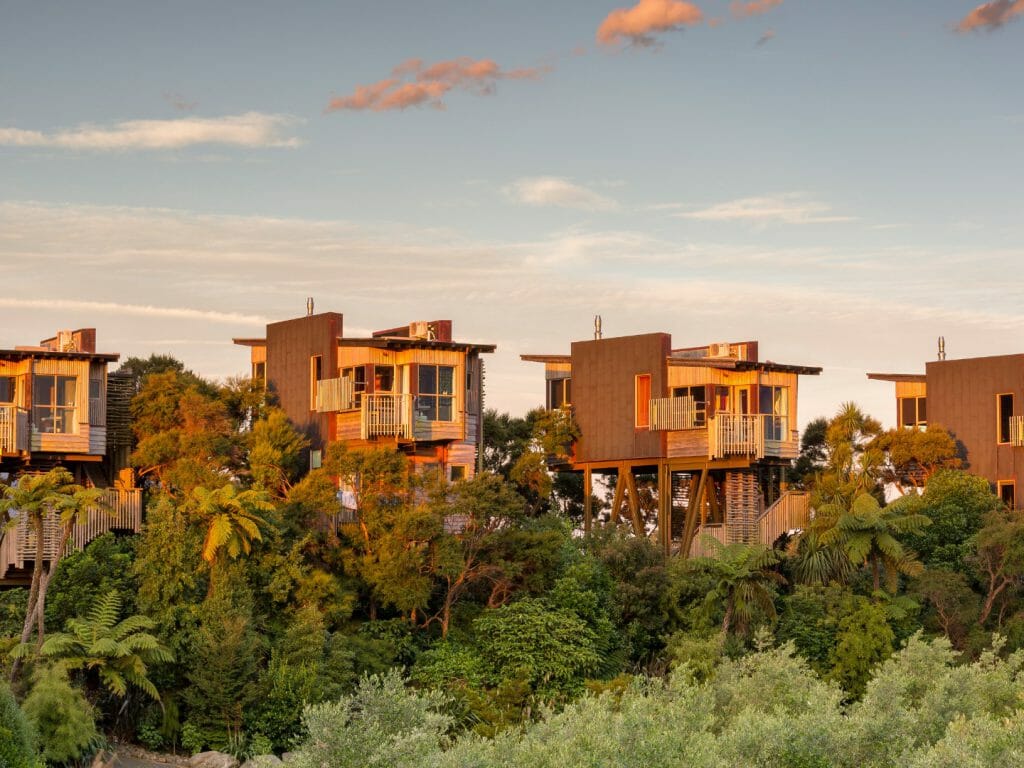 Hapuku Lodge Treehouses in Kaikoura